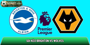 Soi kèo Brighton vs Wolves, 21h00 ngày 5/9 NHA